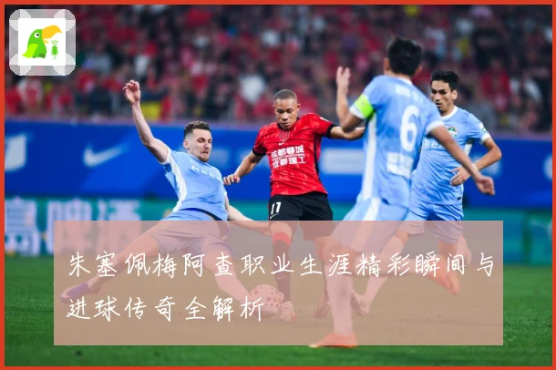 朱塞佩梅阿查职业生涯精彩瞬间与进球传奇全解析